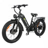 BAOLUJIE P7 2401 24" Tiefeinsteiger-Elektrofahrrad 2000W Motor 48V 20Ah Batterie