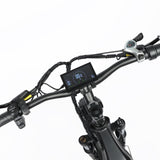 BAOLUJIE P7 2401 24" Tiefeinsteiger-Elektrofahrrad 2000W Motor 48V 20Ah Batterie