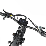 BAOLUJIE P7 2401 24" Tiefeinsteiger-Elektrofahrrad 2000W Motor 48V 20Ah Batterie