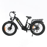 BAOLUJIE P7 2401 24" Tiefeinsteiger-Elektrofahrrad 2000W Motor 48V 20Ah Batterie