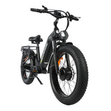 BAOLUJIE P7 2401 24" Tiefeinsteiger-Elektrofahrrad 2000W Motor 48V 20Ah Batterie
