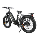 BAOLUJIE P7 2401 24" Tiefeinsteiger-Elektrofahrrad 2000W Motor 48V 20Ah Batterie