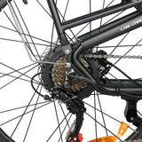 BAOLUJIE P7 2401 24" Tiefeinsteiger-Elektrofahrrad 2000W Motor 48V 20Ah Batterie