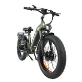BAOLUJIE P7 2401 24" Tiefeinsteiger-Elektrofahrrad 2000W Motor 48V 20Ah Batterie