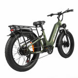 BAOLUJIE P7 2401 24" Tiefeinsteiger-Elektrofahrrad 2000W Motor 48V 20Ah Batterie