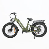 BAOLUJIE P7 2401 24" Tiefeinsteiger-Elektrofahrrad 2000W Motor 48V 20Ah Batterie