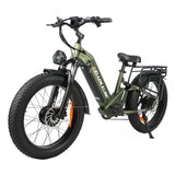 BAOLUJIE P7 2401 24" Tiefeinsteiger-Elektrofahrrad 2000W Motor 48V 20Ah Batterie