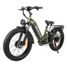BAOLUJIE P7 2401 24" Tiefeinsteiger-Elektrofahrrad 2000W Motor 48V 20Ah Batterie