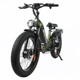 BAOLUJIE P7 2401 24" Tiefeinsteiger-Elektrofahrrad 2000W Motor 48V 20Ah Batterie