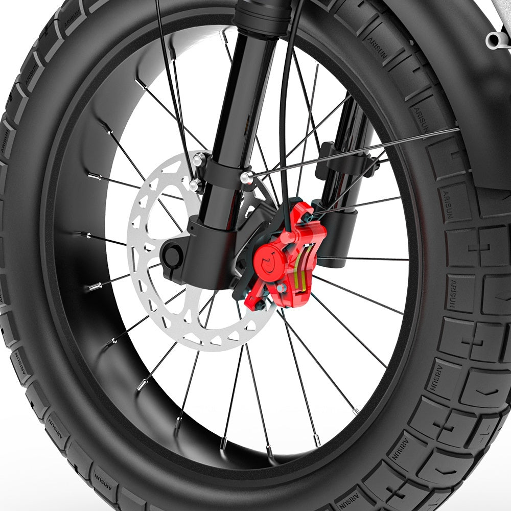 COSWHEEL CT20S 20" Elektro-Dirt-Bike 1500W Motor 60V 27.5Ah Batterie