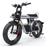 COSWHEEL CT20S 20" Elektro-Dirt-Bike 1500W Motor 60V 27.5Ah Batterie