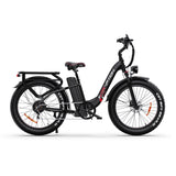 DRVETION CTR26 26" Tiefeinsteiger-Elektrofahrrad 1000W Spitzen Motor 48V 15AH/20Ah Batterie