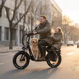 DRVETION ET20 20" City-Elektrofahrräder 1000W Motor 48V 15Ah/20Ah Batterie