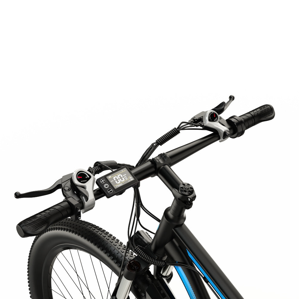 DUOTTS C29 29" Elektrofahrrad Mountainbike 750W Motor 48V 15Ah Batterie
