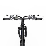 DUOTTS C29 29" Elektrofahrrad Mountainbike 750W Motor 48V 15Ah Batterie