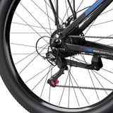 DUOTTS C29 29" Elektrofahrrad Mountainbike 750W Motor 48V 15Ah Batterie