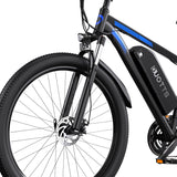 DUOTTS C29 29" Elektrofahrrad Mountainbike 750W Motor 48V 15Ah Batterie