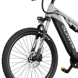 DUOTTS E29 27.5" Fat Tire Elektro Dirt Bike 250W Motoren 48V 13.5Ah Batterie