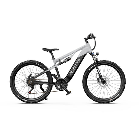 DUOTTS E29 27.5" Fat Tire Elektro Dirt Bike 250W Motoren 48V 13.5Ah Batterie