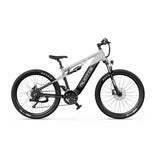 DUOTTS E29 27.5" Fat Tire Elektro Dirt Bike 250W Motoren 48V 13.5Ah Batterie