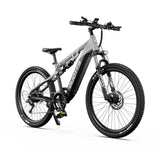 DUOTTS E29 27.5" Fat Tire Elektro Dirt Bike 250W Motoren 48V 13.5Ah Batterie