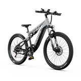 DUOTTS E29 27.5" Fat Tire Elektro Dirt Bike 250W Motoren 48V 13.5Ah Batterie