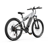 DUOTTS E29 27.5" Fat Tire Elektro Dirt Bike 250W Motoren 48V 13.5Ah Batterie