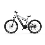 DUOTTS E29 27.5" Fat Tire Elektro Dirt Bike 250W Motoren 48V 13.5Ah Batterie