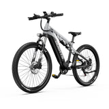 DUOTTS E29 27.5" Fat Tire Elektro Dirt Bike 250W Motoren 48V 13.5Ah Batterie
