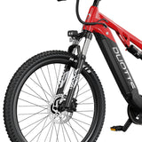 DUOTTS E29 27.5" Fat Tire Elektro Dirt Bike 250W Motoren 48V 13.5Ah Batterie