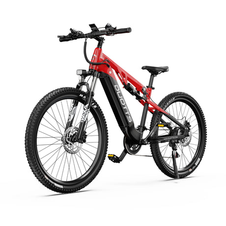 DUOTTS E29 27.5" Fat Tire Elektro Dirt Bike 250W Motoren 48V 13.5Ah Batterie