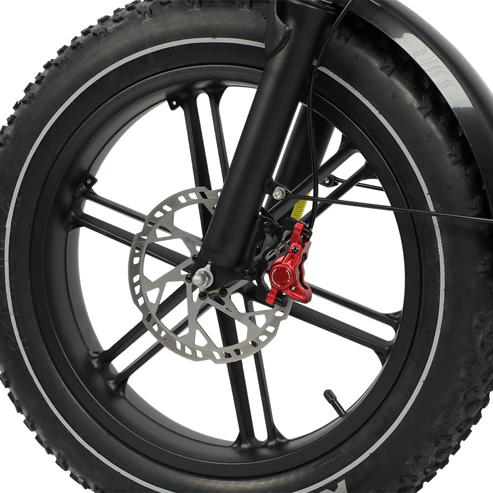 DUOTTS F20 20" Retro Elektro Dirtbike 750W Motor 52V 27Ah Batterie