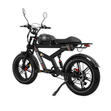 DUOTTS F20 20" Retro Elektro Dirtbike 750W Motor 52V 27Ah Batterie