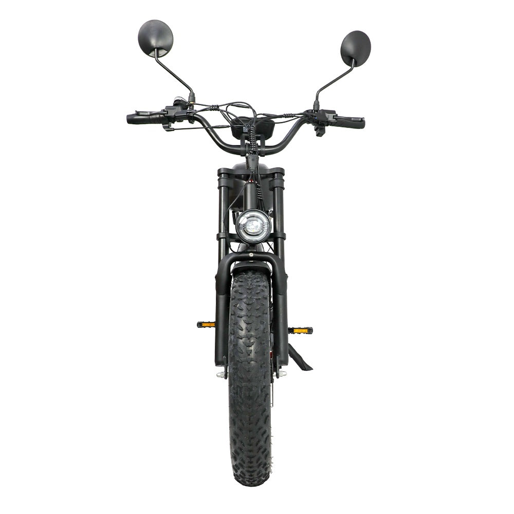 DUOTTS F20 20" Retro Elektro Dirtbike 750W Motor 52V 27Ah Batterie