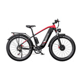 DUOTTS F26 26" Elektrofahrrad Mountainbike 750W*2 Motor 48V 20Ah Batterie