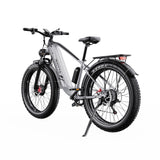 Bicicleta de montaña eléctrica DUOTTS F26 de 26 pulgadas, motor de 750 W x 2, batería de 48 V y 20 Ah