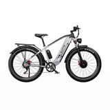 DUOTTS F26 Lite 26" Elektro-Mountainbike 500W Motoren 48V 18Ah Batterie