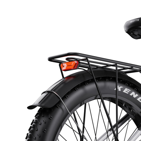 DUOTTS F26 26" Elektrofahrrad Mountainbike 750W*2 Motor 48V 20Ah Batterie