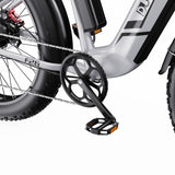 DUOTTS F26 26" Elektrofahrrad Mountainbike 750W*2 Motor 48V 20Ah Batterie
