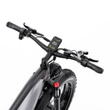 DUOTTS F26 26" Elektrofahrrad Mountainbike 750W*2 Motor 48V 20Ah Batterie