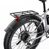 DUOTTS F26 26" Elektrofahrrad Mountainbike 750W*2 Motor 48V 20Ah Batterie