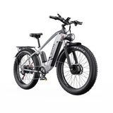DUOTTS F26 26" Elektrofahrrad Mountainbike 750W*2 Motor 48V 20Ah Batterie