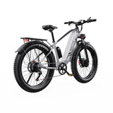 DUOTTS F26 26" Elektrofahrrad Mountainbike 750W*2 Motor 48V 20Ah Batterie