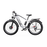DUOTTS F26 26" Elektrofahrrad Mountainbike 750W*2 Motor 48V 20Ah Batterie
