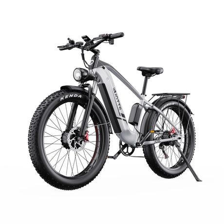 DUOTTS F26 26" Elektrofahrrad Mountainbike 750W*2 Motor 48V 20Ah Batterie