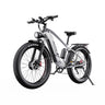DUOTTS F26 26" Elektrofahrrad Mountainbike 750W*2 Motor 48V 20Ah Batterie