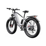DUOTTS F26 26" Elektrofahrrad Mountainbike 750W*2 Motor 48V 20Ah Batterie