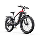 DUOTTS F26 Lite 26" Elektro-Mountainbike 500W Motoren 48V 18Ah Batterie