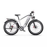 DUOTTS F26 Lite 26" Elektro-Mountainbike 500W Motoren 48V 18Ah Batterie