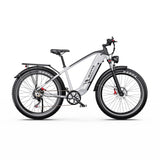 DUOTTS F26 Lite 26" Elektro-Mountainbike 500W Motoren 48V 18Ah Batterie